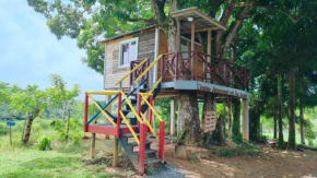 Casa del Árbol ecológica.